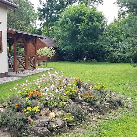 Jare I * Nyíregyháza